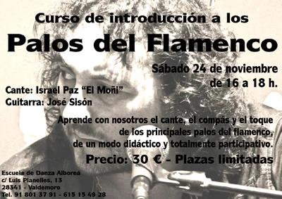 Curso Palos Del Flamenco | FRANCISCO CARLOS SANCHO NADAL